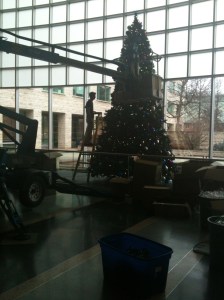 Lewis decorating the big tree