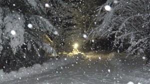Nighttime snowfall in Brooke Valley