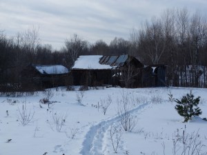 The old barn