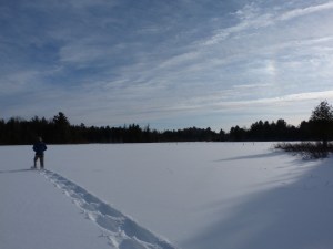 setting off across the beaver pond
