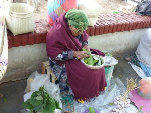 Cleaning the spikes from the cactus (nopales) pads