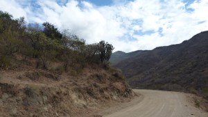 Switchback roads in the Sierra Juárez mountains