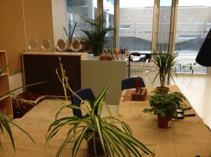 Classroom filled with art supplies and plants