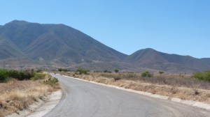 The road to Tlapazola