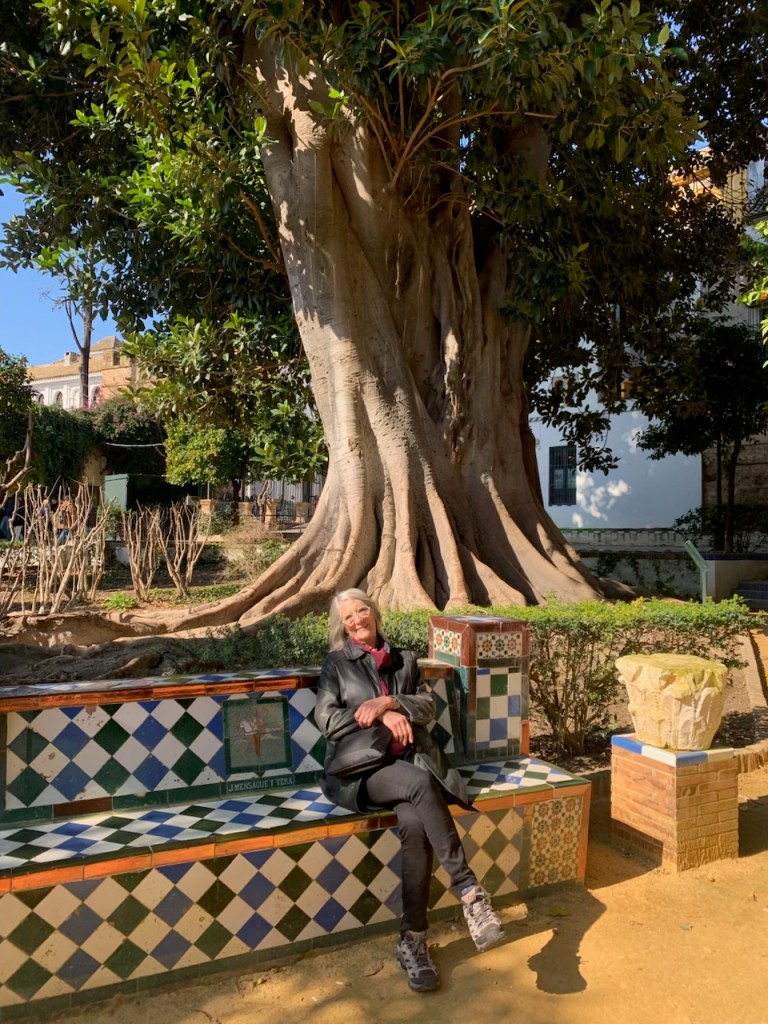 Person sitting on a tiled bench under a large tree