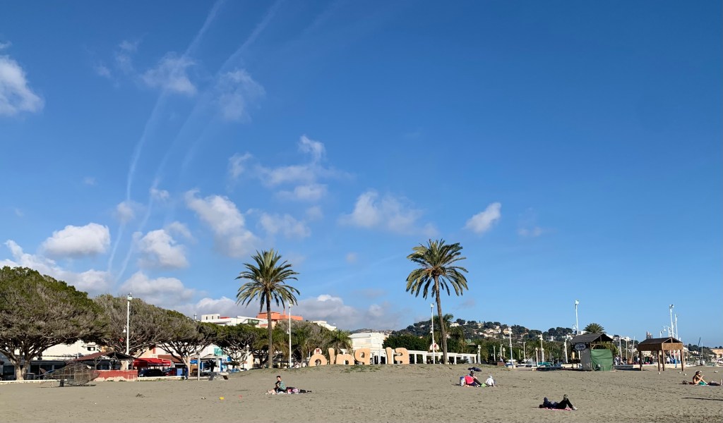 A sandy beach with palm trees and blue sky.