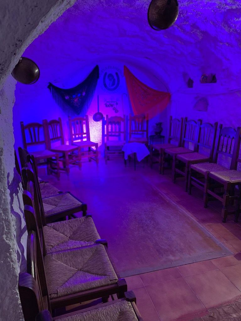 A small room with wooden chairs along the side, lit with dim blue light.